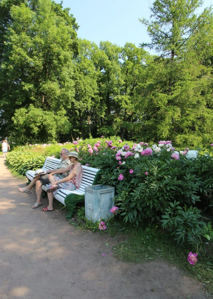 отдых в цпки