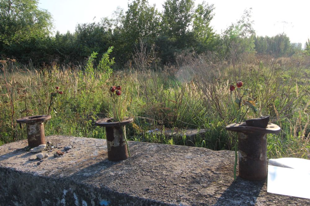 совриск в питере красненькая